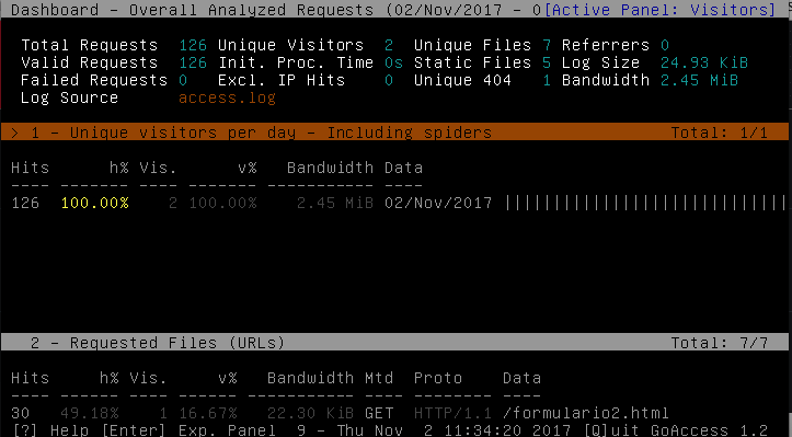 goaccess2.png